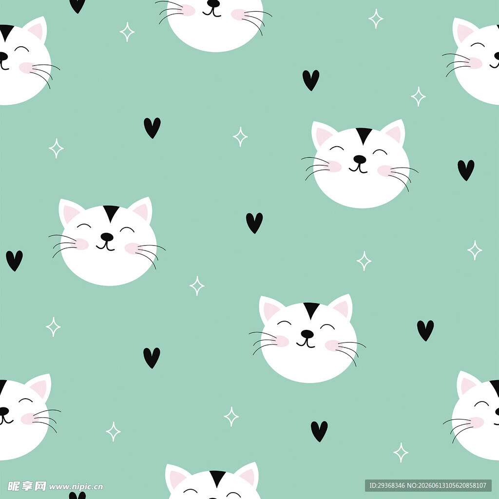 猫咪