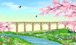 春日河畔桥景 繁花相伴