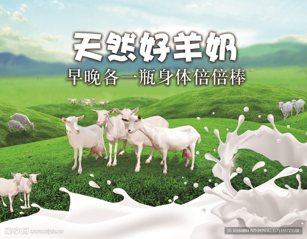 天然好羊奶 牧场好风光