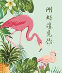 火烈鸟与绿植的浪漫邂逅