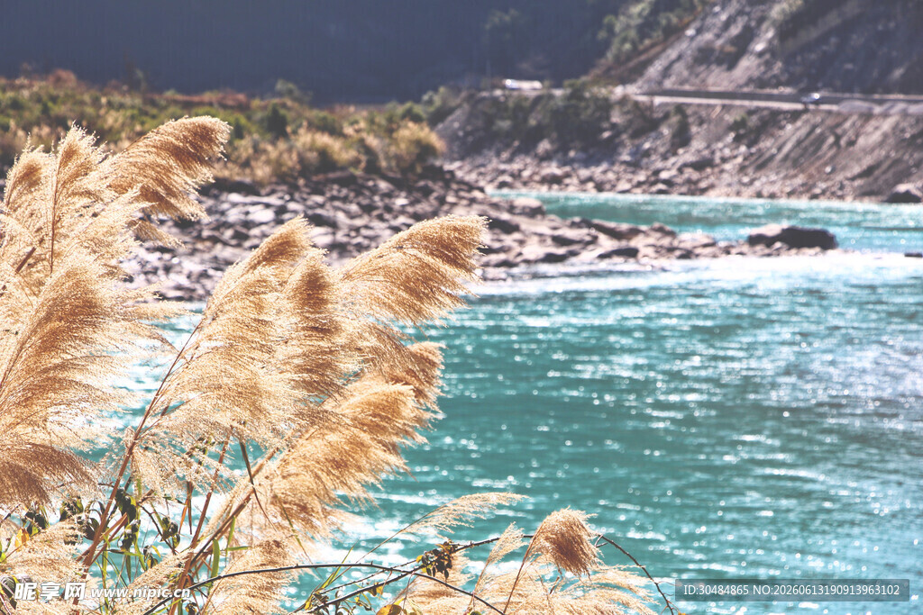 河畔芦苇与碧波美景