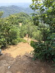 山间泥土小径