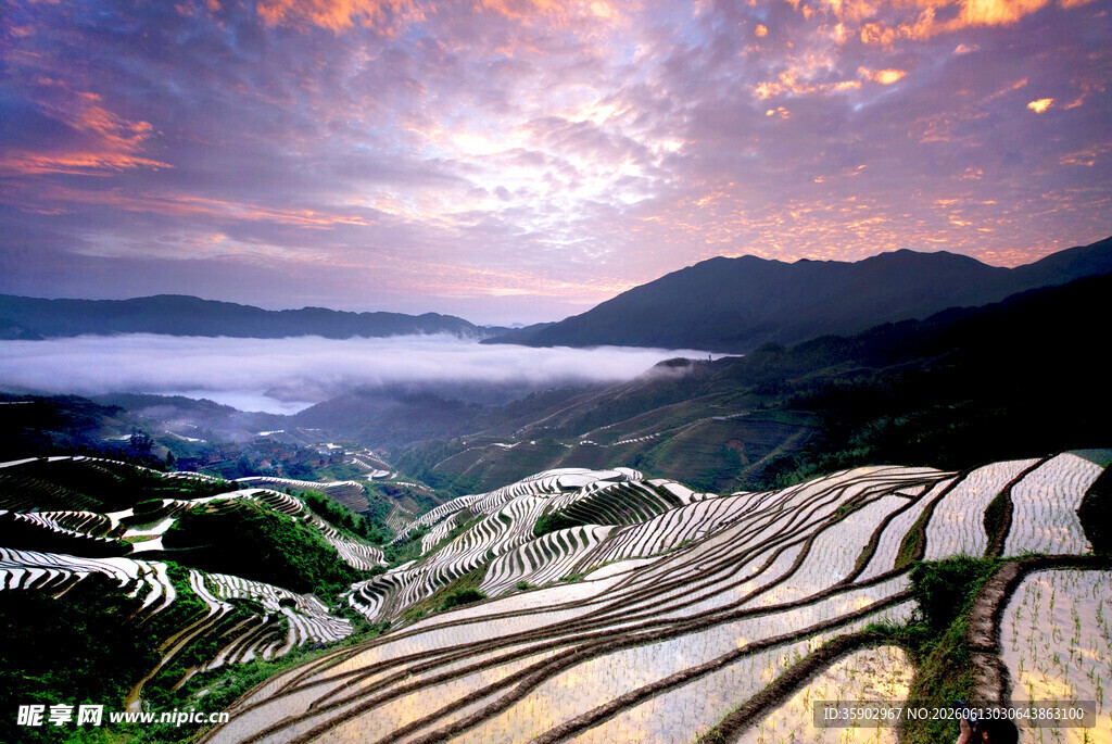 壮美梯田与绚丽霞光景观