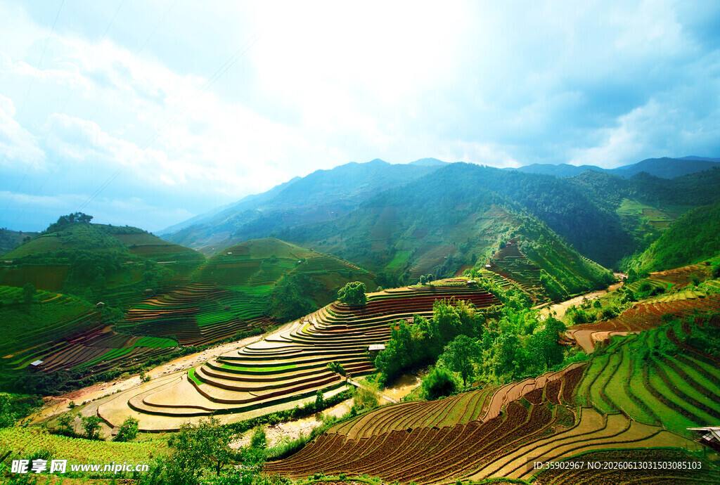 山间梯田美景