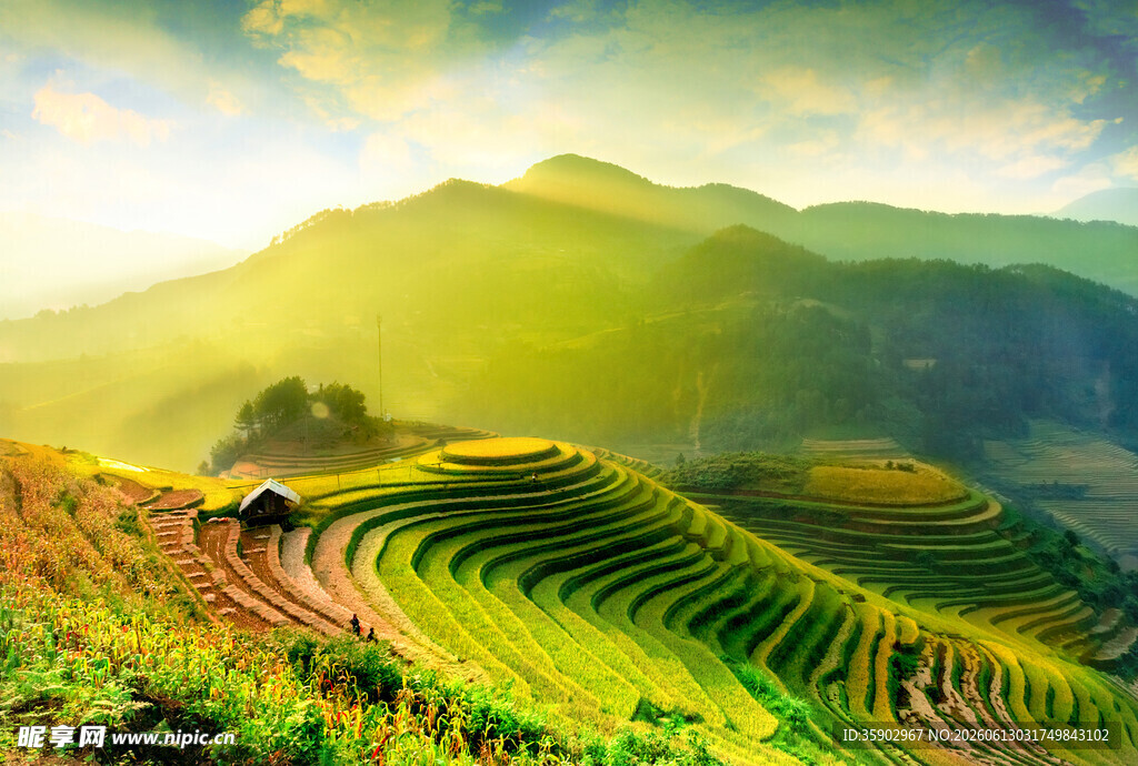山间梯田美景阳光洒落