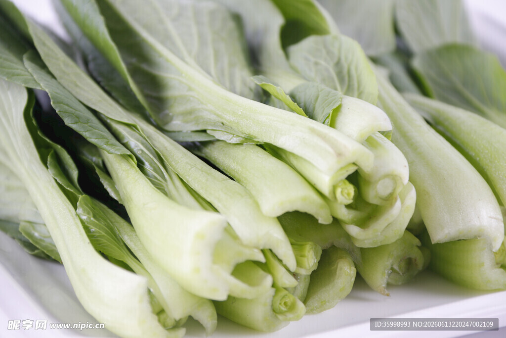 新鲜小白菜摆放在盘中