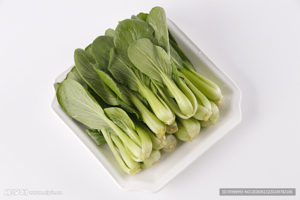 新鲜小白菜摆放在白色容器中