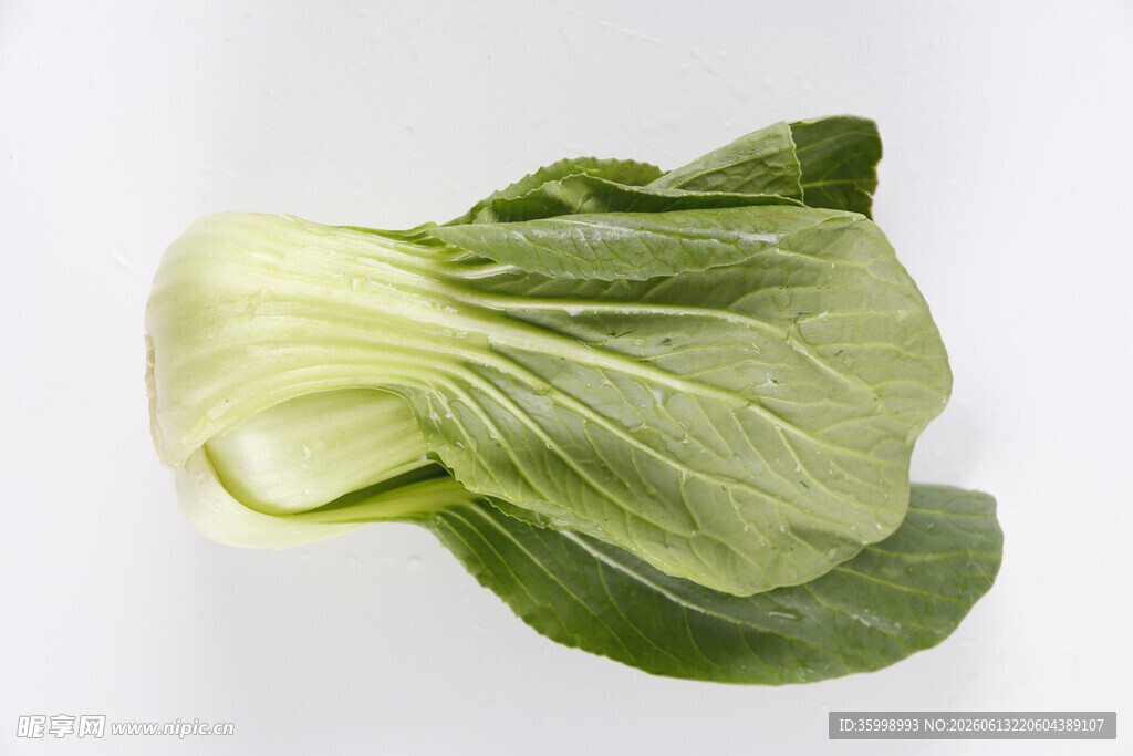 新鲜小白菜