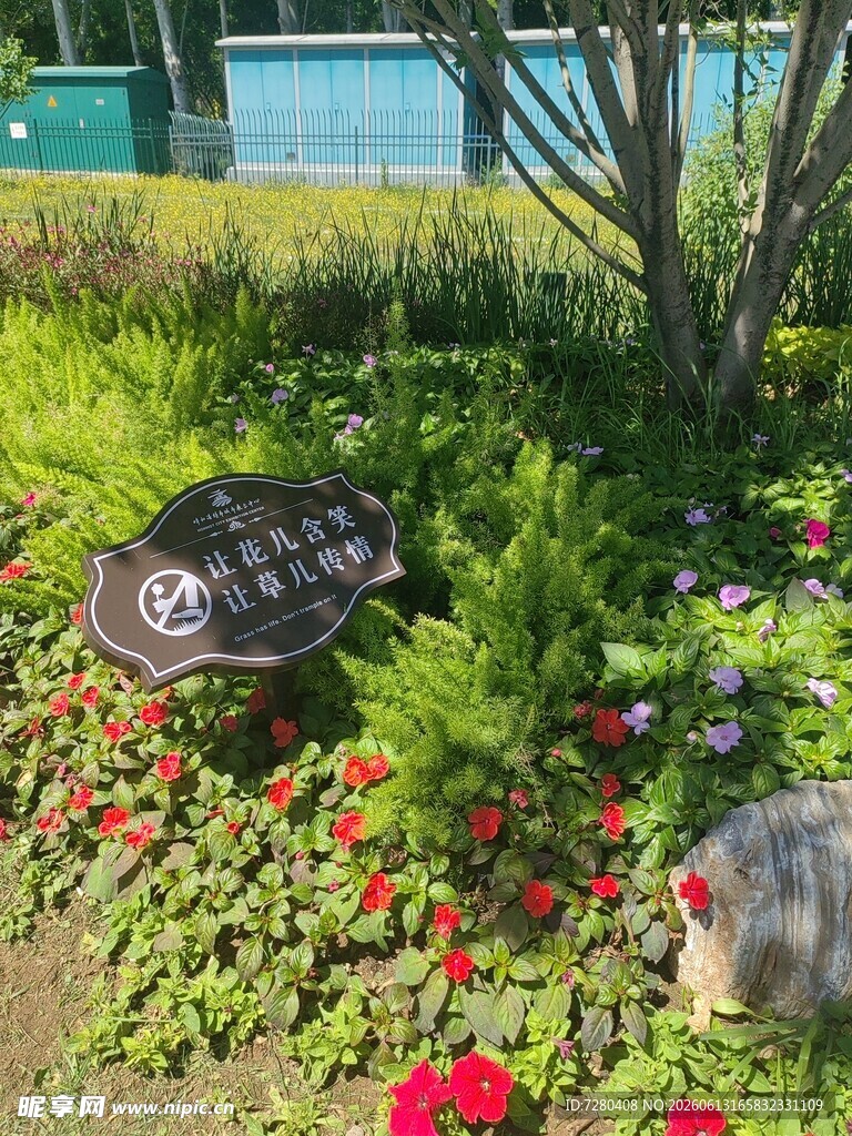 花园中的精致装饰摆件