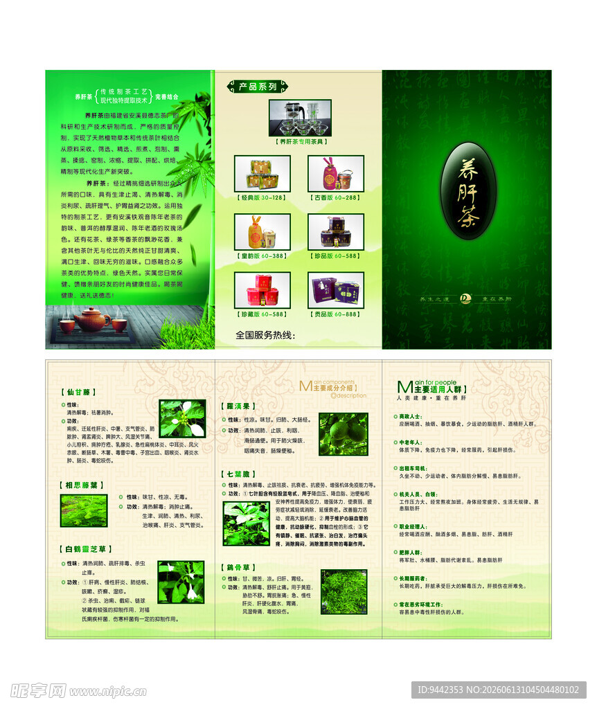 养肝茶设计