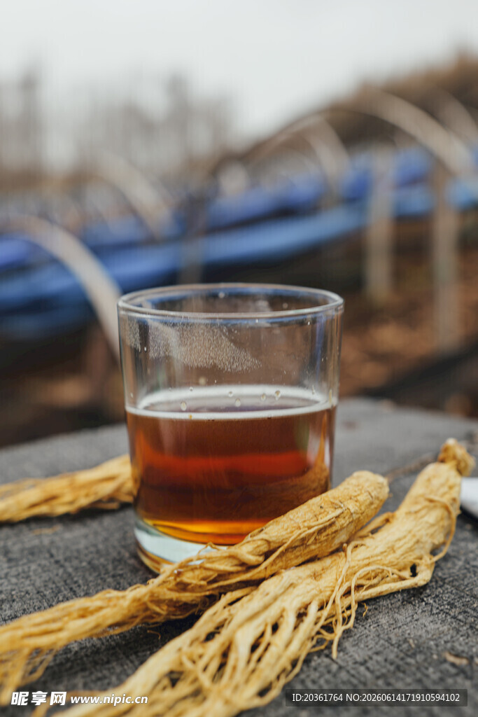 一杯参茶
