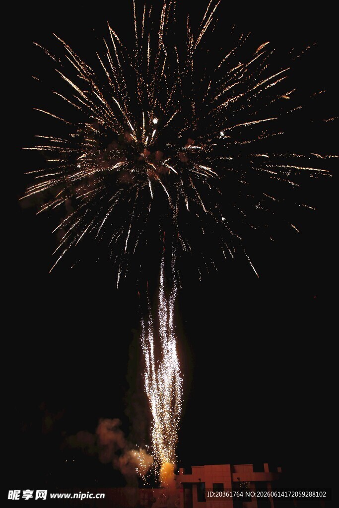 夜空中绽放的绚烂烟花