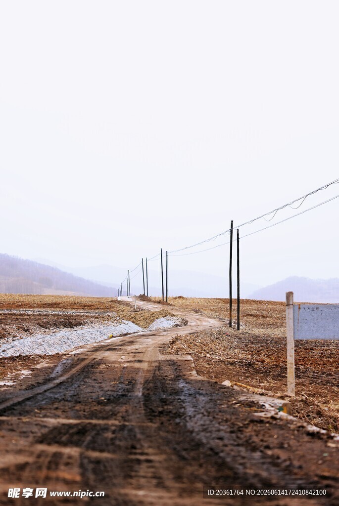 乡村泥泞道路与电线杆