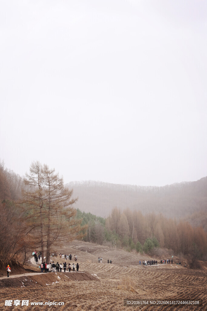 山间牧场的静谧风光