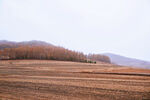 秋日旷野田园风光