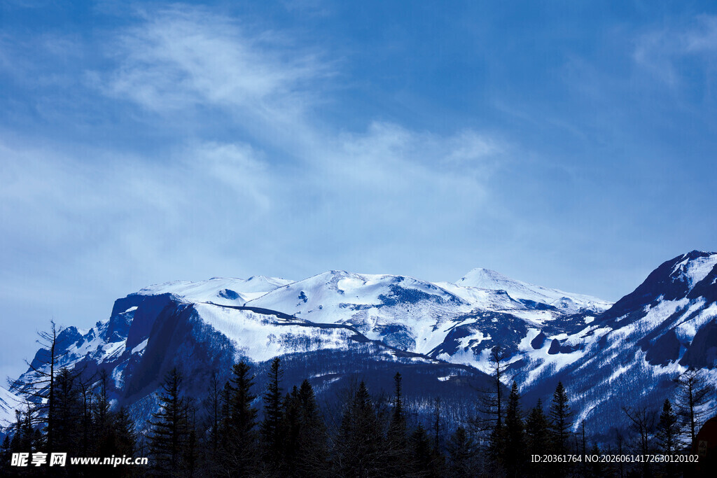 壮丽雪山与蓝天森林景观