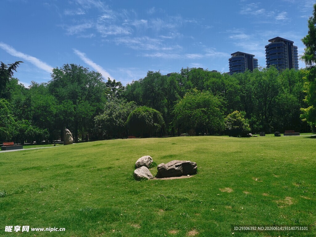 草坪上休憩的悠闲场景