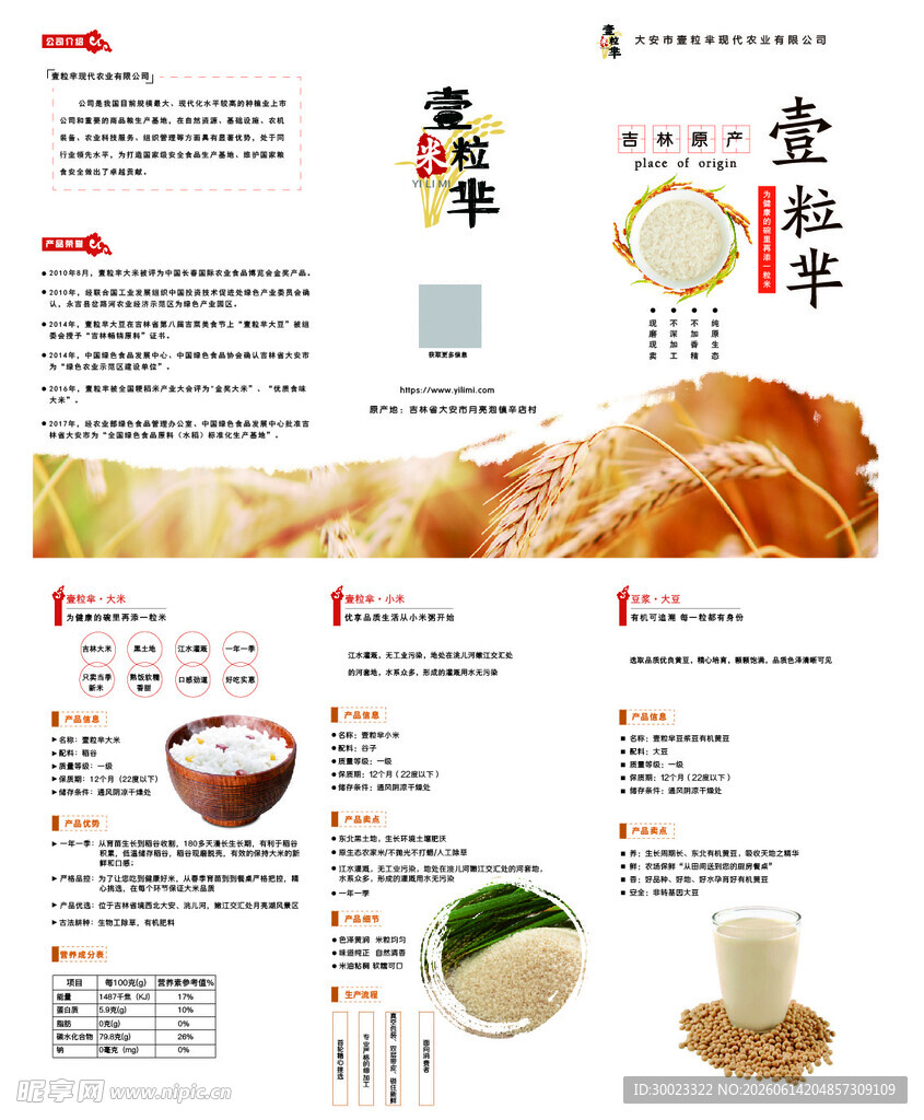大米折页设计