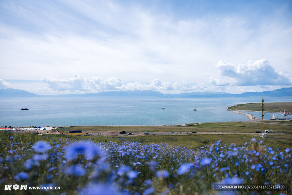 湖畔蓝花与远山美景