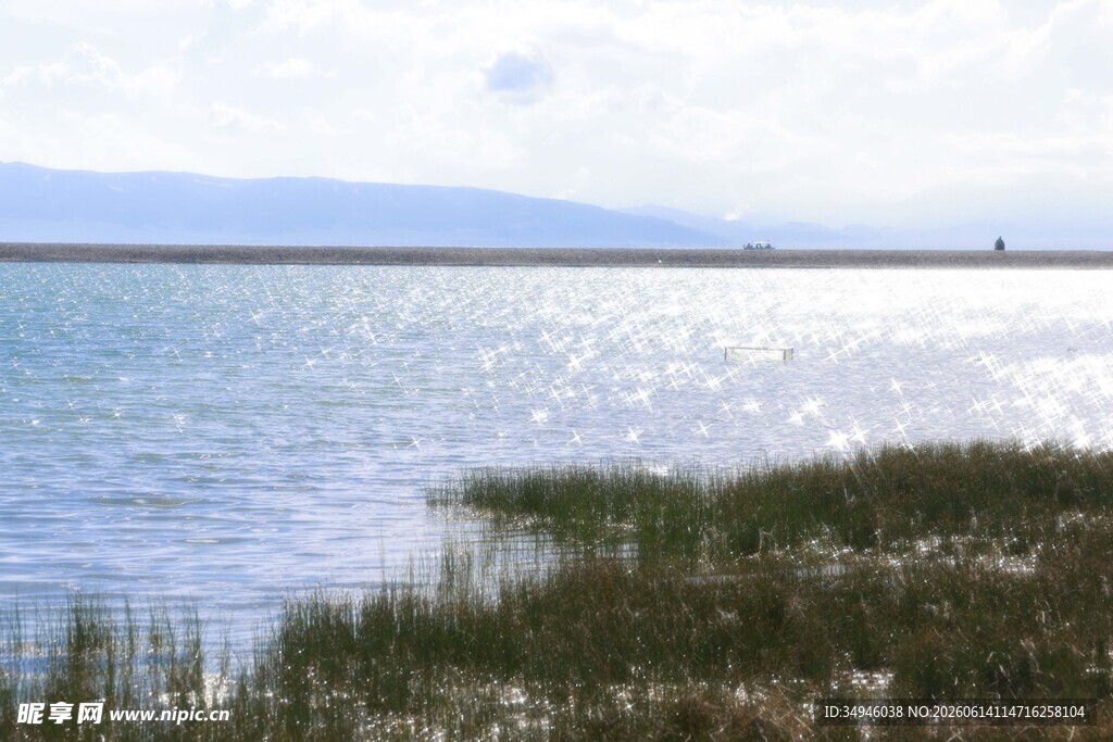 湖畔水草与波光美景