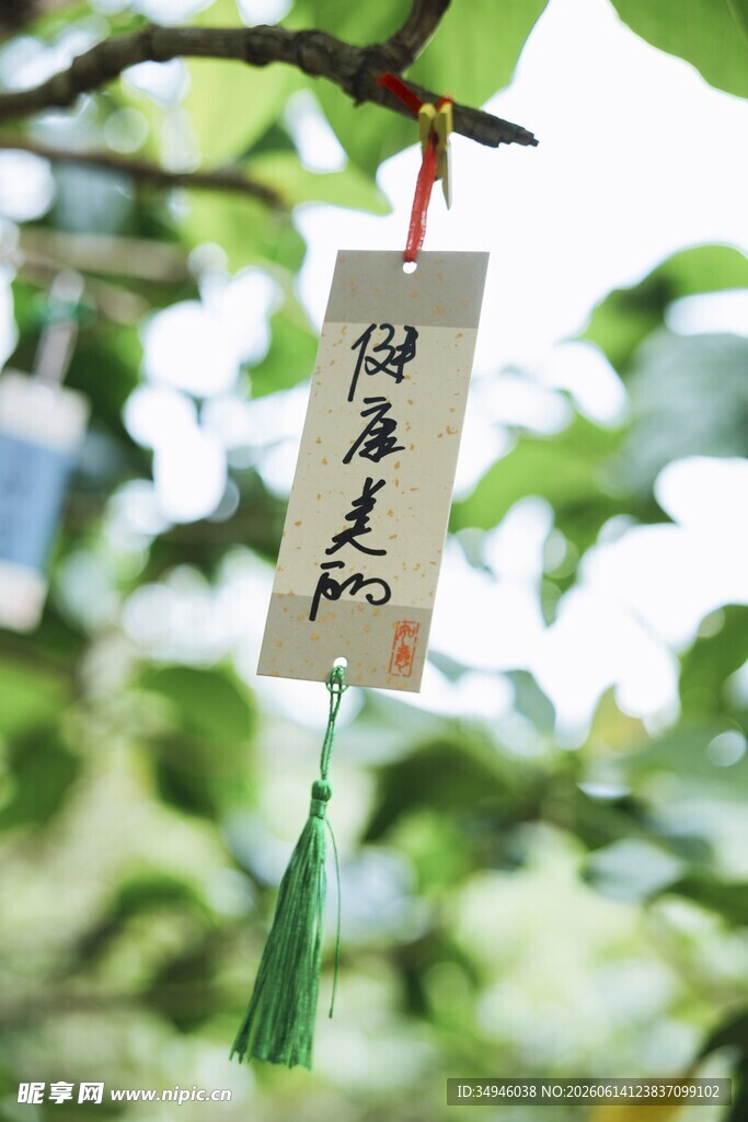 祈福木牌挂于翠绿枝头