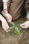 携手共植绿意