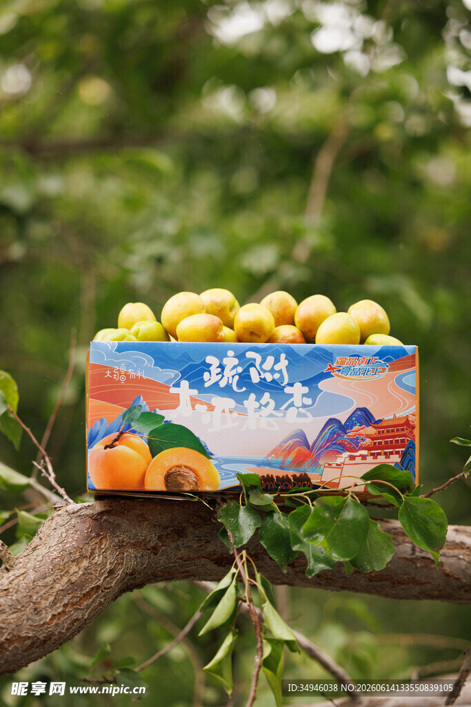 枝头的欢梨鲜果礼盒