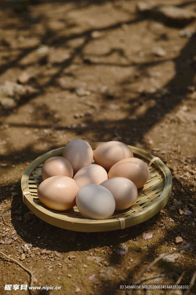 竹篮中的原生态农家鸡蛋
