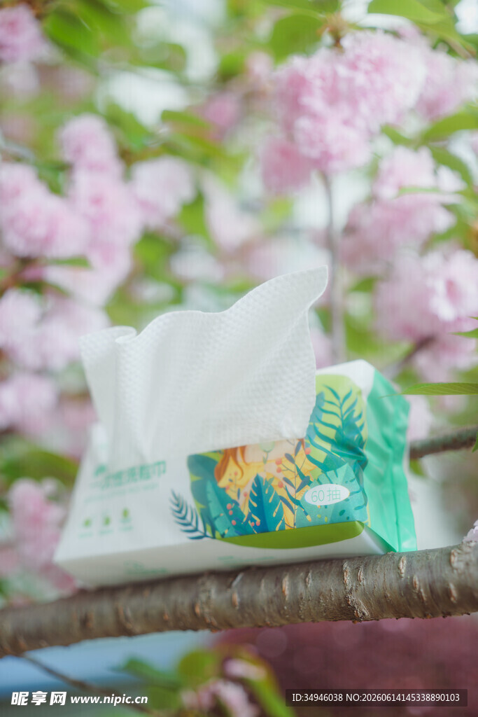 樱花枝上的精美纸巾包装