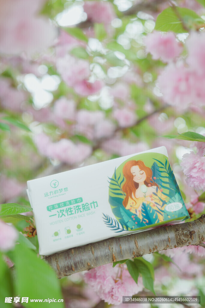 樱花丛中的梦幻风卡片