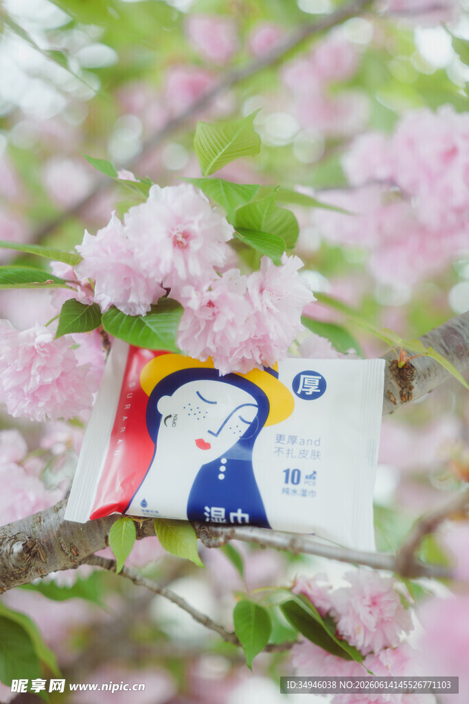 樱花丛中的可爱卡片