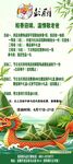 粽香迎端