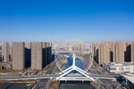 城市中的现代桥梁与建筑群