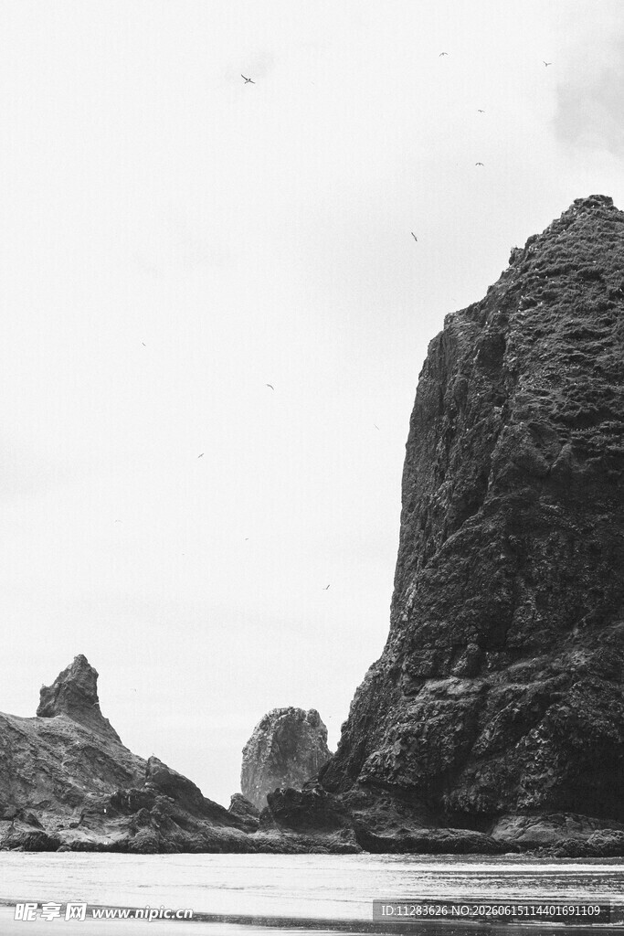 海岸边的嶙峋岩石景观