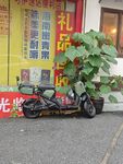街边停放的电动车与绿植