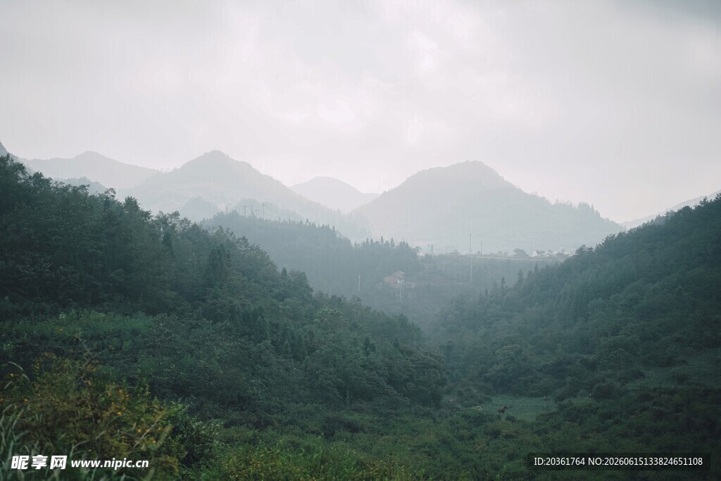 山间雾霭中的葱郁山林