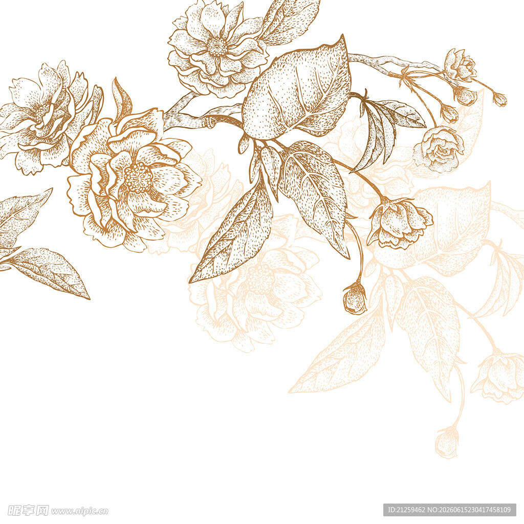 素描花