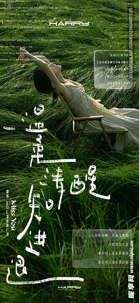 草原骏马风景图