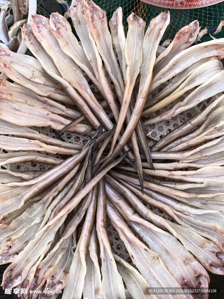 独特纹理的绽放花朵