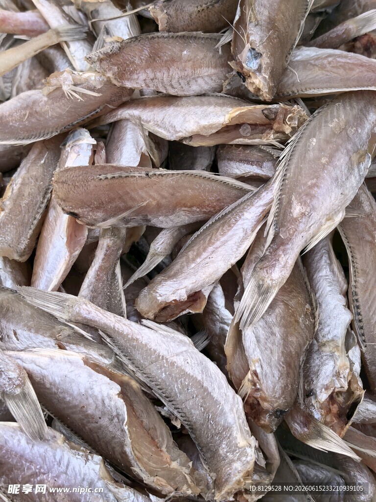 干制小鱼干特写