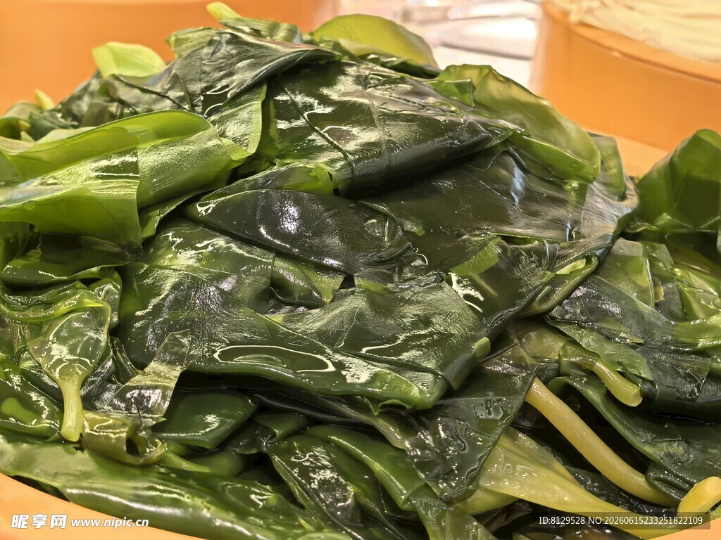 新鲜海带翠绿诱人