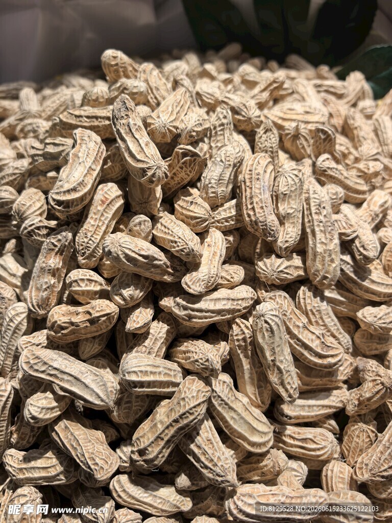 饱满花生堆自然好品质