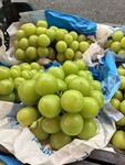 新鲜青葡萄堆放在一起