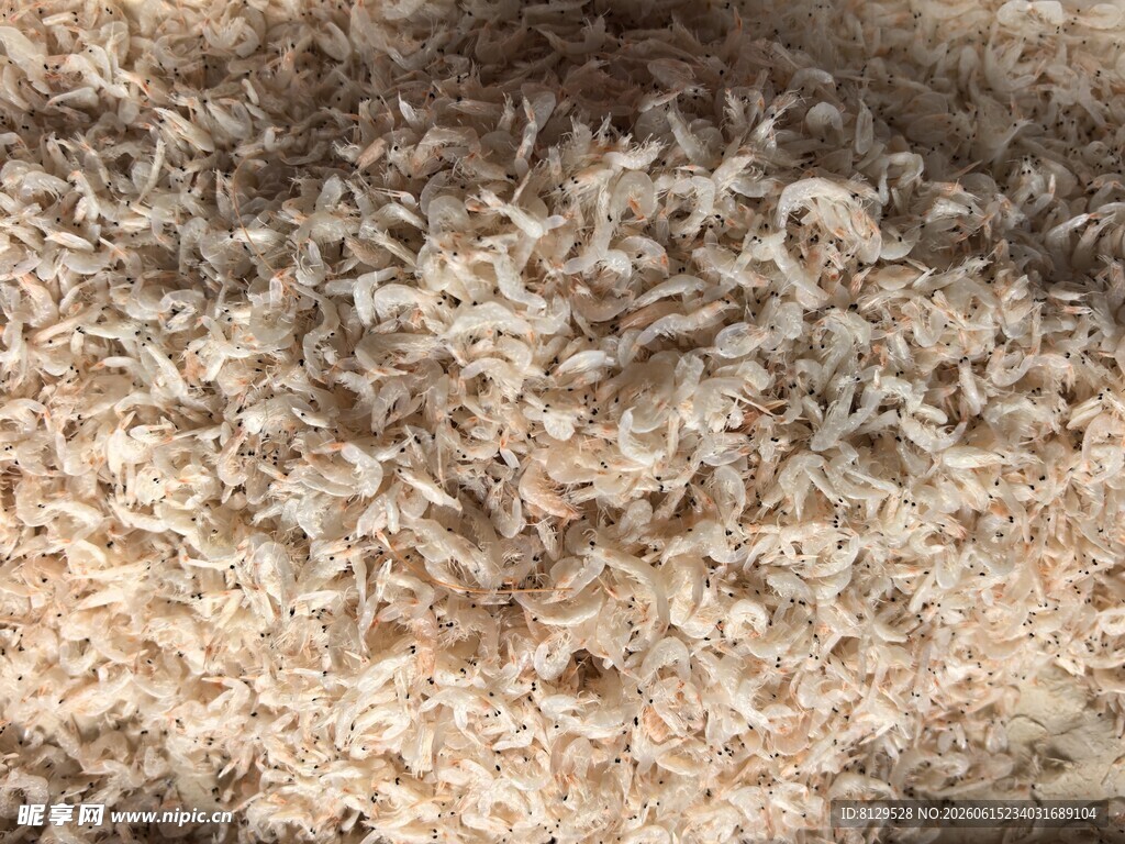 虾皮特写