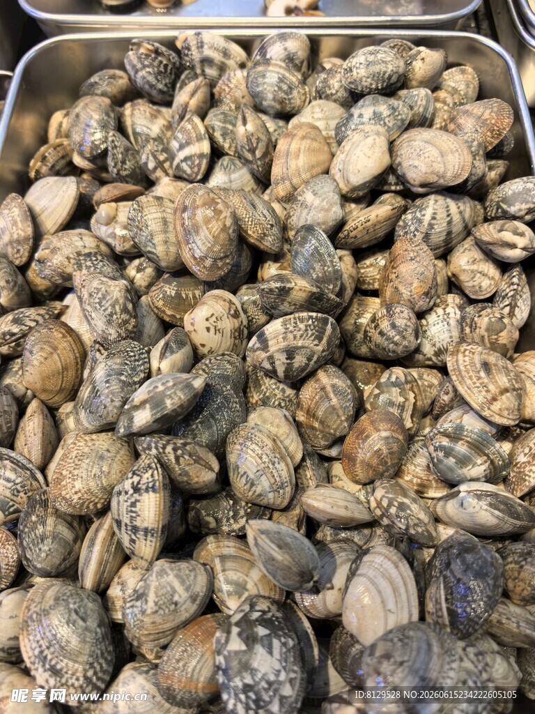 新鲜蛤蜊堆叠展示