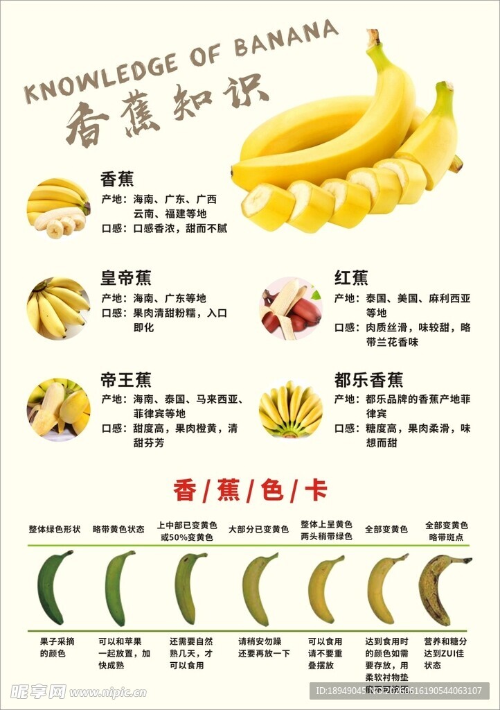 香蕉知识科普图