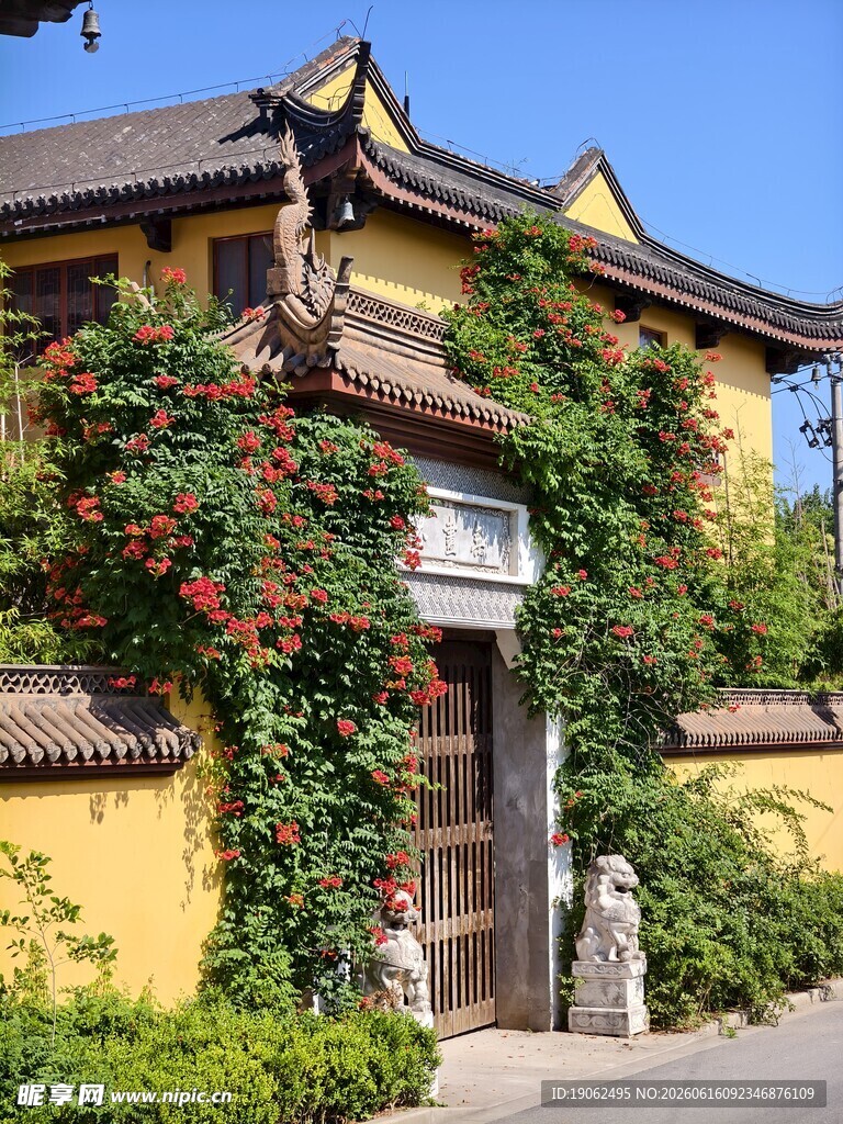 寺院爬满凌霄花的侧门