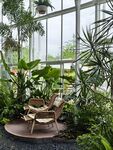 室内绿植造景