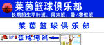莱茵篮球俱乐部宣传海报