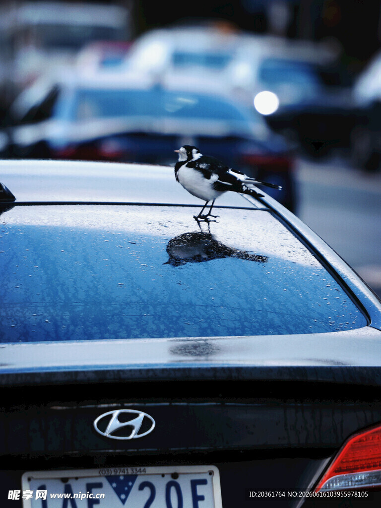车顶自行车架的现代汽车